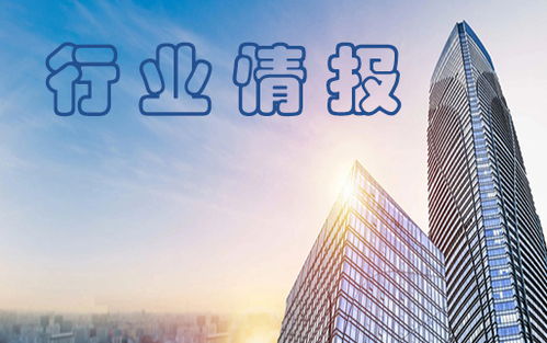 搜了動態 深圳市搜了網絡科技股份有限公司的創新之路